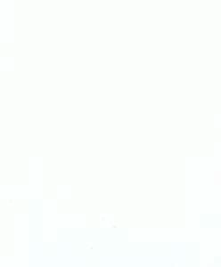 Tapeta ścienna Marburg 82345 Flora