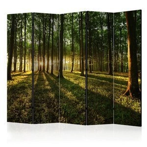 Parawan 5-częściowy - Poranek w lesie II [Room Dividers]