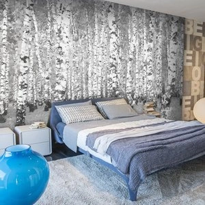 Fototapeta - Brzozowe zacisze