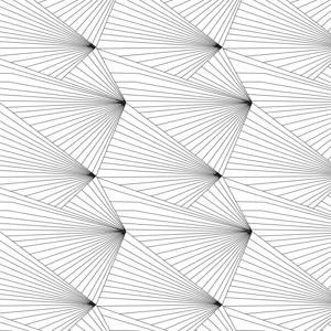 Tapeta ścienna Fan black / white Erica Wakerly