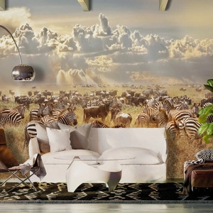 Fototapeta - Zebra w stadzie