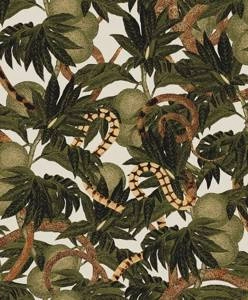 Tapeta ścienna Khroma CAB204 Cabinet of Curiosities