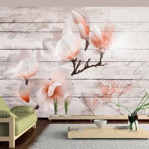 Fototapeta - Subtelność Magnolii