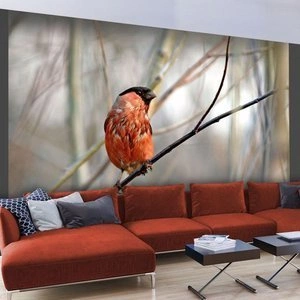 Fototapeta - Bullfinch in the forest