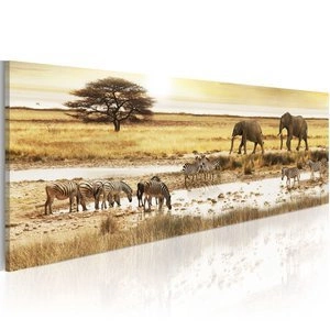 Obraz - Afryka: przy wodopoju