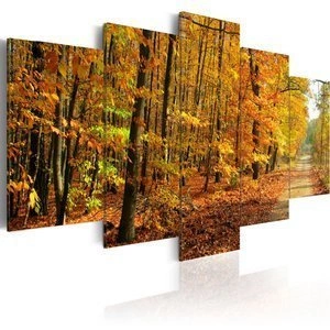 Obraz - Aleja pośród kolorowych liści