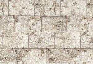 Fototapeta Björk 8-740