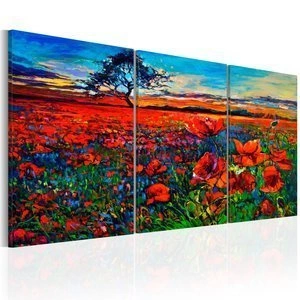 Obraz - Dolina maków