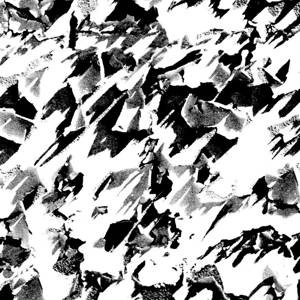 Tapeta ścienna Desert black / white Erica Wakerly