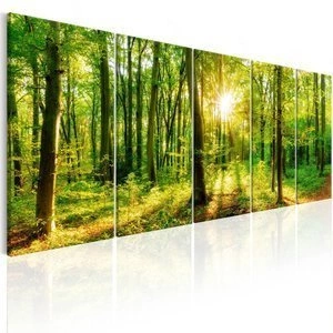 Obraz - Magiczny las