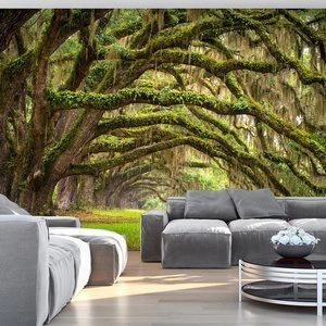 Fototapeta - Uścisk drzew