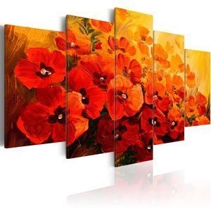 Obraz - Kraina maków