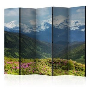 Parawan 5-częściowy - Wiosenny krajobraz górski II [Room Dividers]