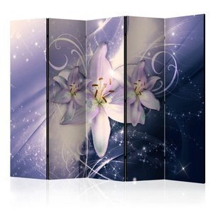 Parawan 5-częściowy - Zimowa galaktyka II [Room Dividers]