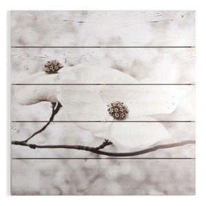 Obraz na drewnie Kwitnące drzewo 104589