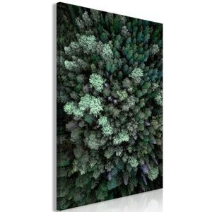 Obraz - Lot nad lasem (1-częściowy) pionowy