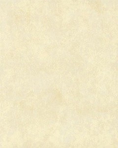 Tapeta ścienna York Wallcoverings TN0008 Textures & Prints