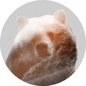 Fototapeta ścienna Bearava D1-015