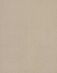 Tapeta ścienna York Wallcoverings TN0043 Textures & Prints