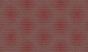 Tapeta ścienna Arte MO2023 Moooi - Extinct Animals