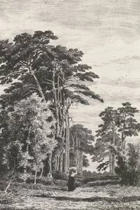 Fototapeta ścienna Esta Home 158886 Blush