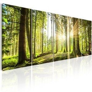 Obraz - Blask słońca