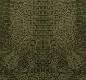 Fototapeta ścienna Origin 357246 Luxury Skins