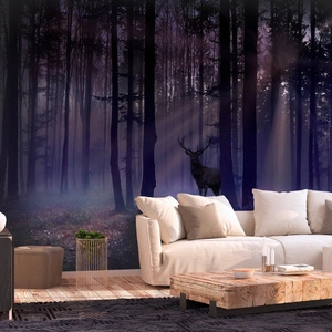 Fototapeta - Mistyczny las - drugi wariant