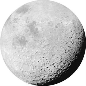 Fototapeta ścienna Luna D1-020