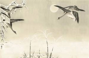 Fototapeta ścienna w orientalnym roślinnym stylu kaczki V103-1