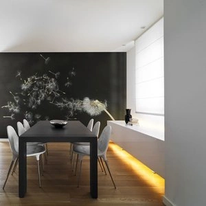 Fototapeta - Jak niesione wiatrem nasiona dmuchawców...