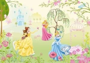 Fototapeta Disney 1-417